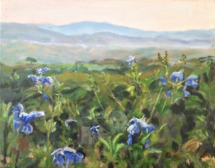 Landscape with a Field of Flowers