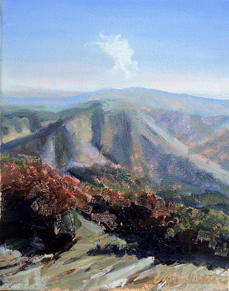 View from Cliff Tops